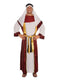 Desert Prince Costume